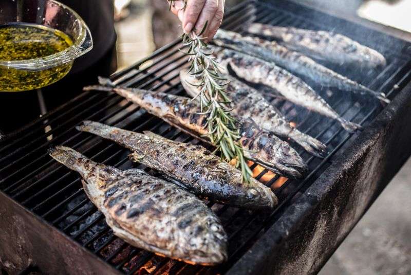 Croatia Remains a Top Sailing Destination in 2026 – Discover the Reasons - Dalmatian Grilled Fish | SunLife Charter Croatia