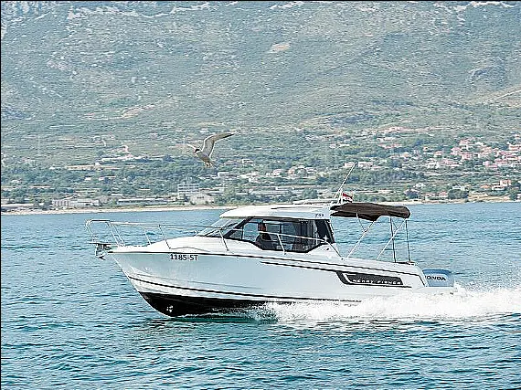 Merry Fisher 795