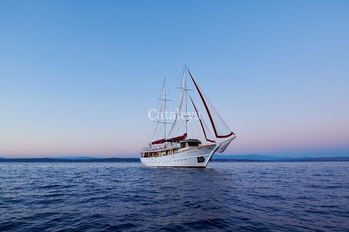 Cataleya - 