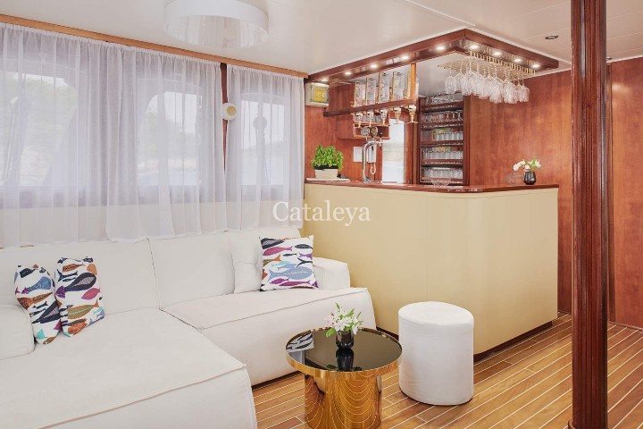 Cataleya - 