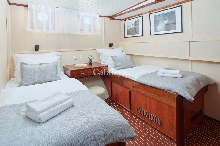 Cataleya - 