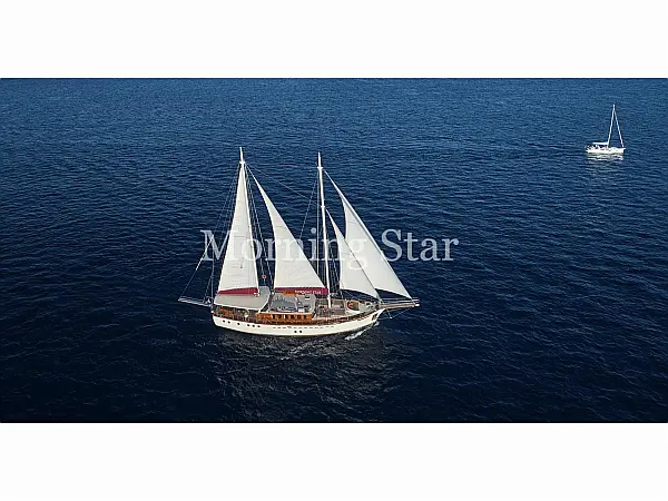 MORNING STAR