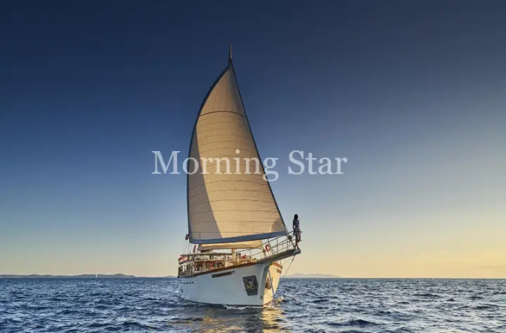 MORNING STAR - 