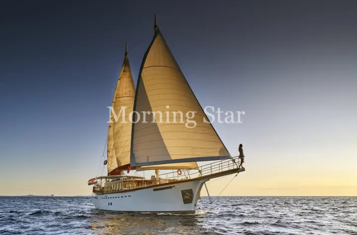MORNING STAR - 