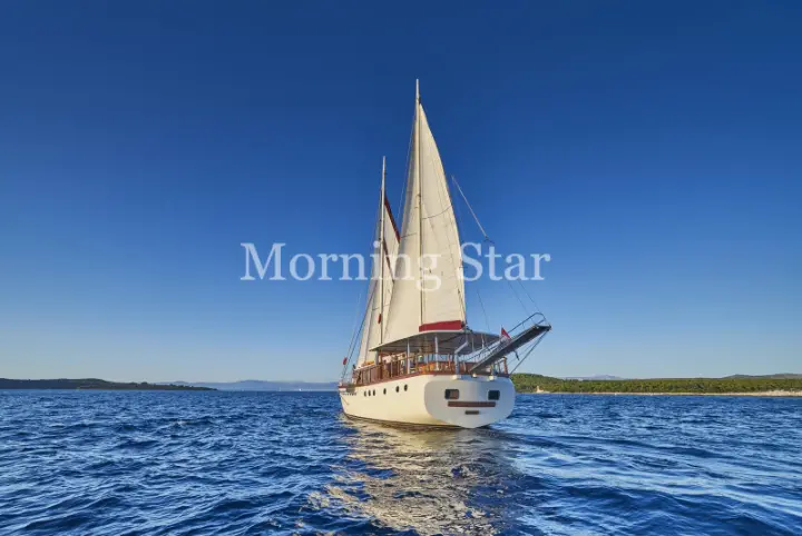 MORNING STAR - 