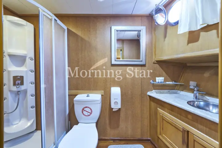 MORNING STAR - 