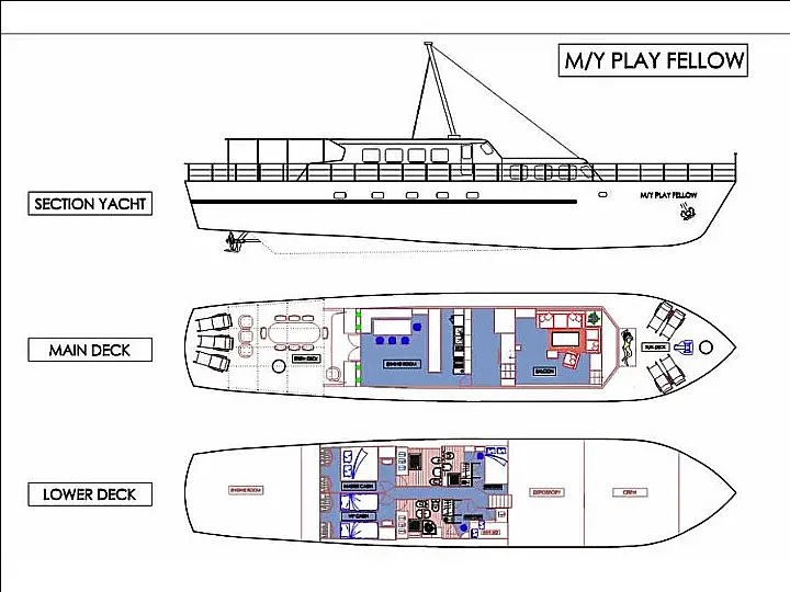 PLAY FELLOW - Layout