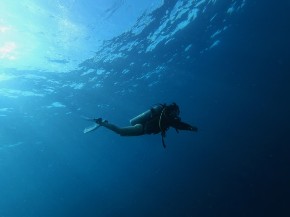 Dive, dive, dive!