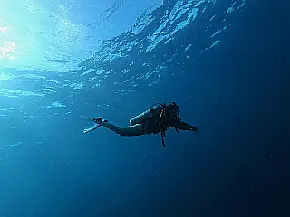 Dive, dive, dive!