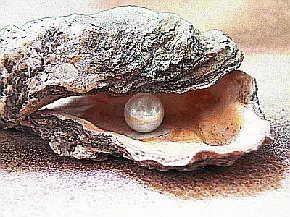 Pearls of Adriatic